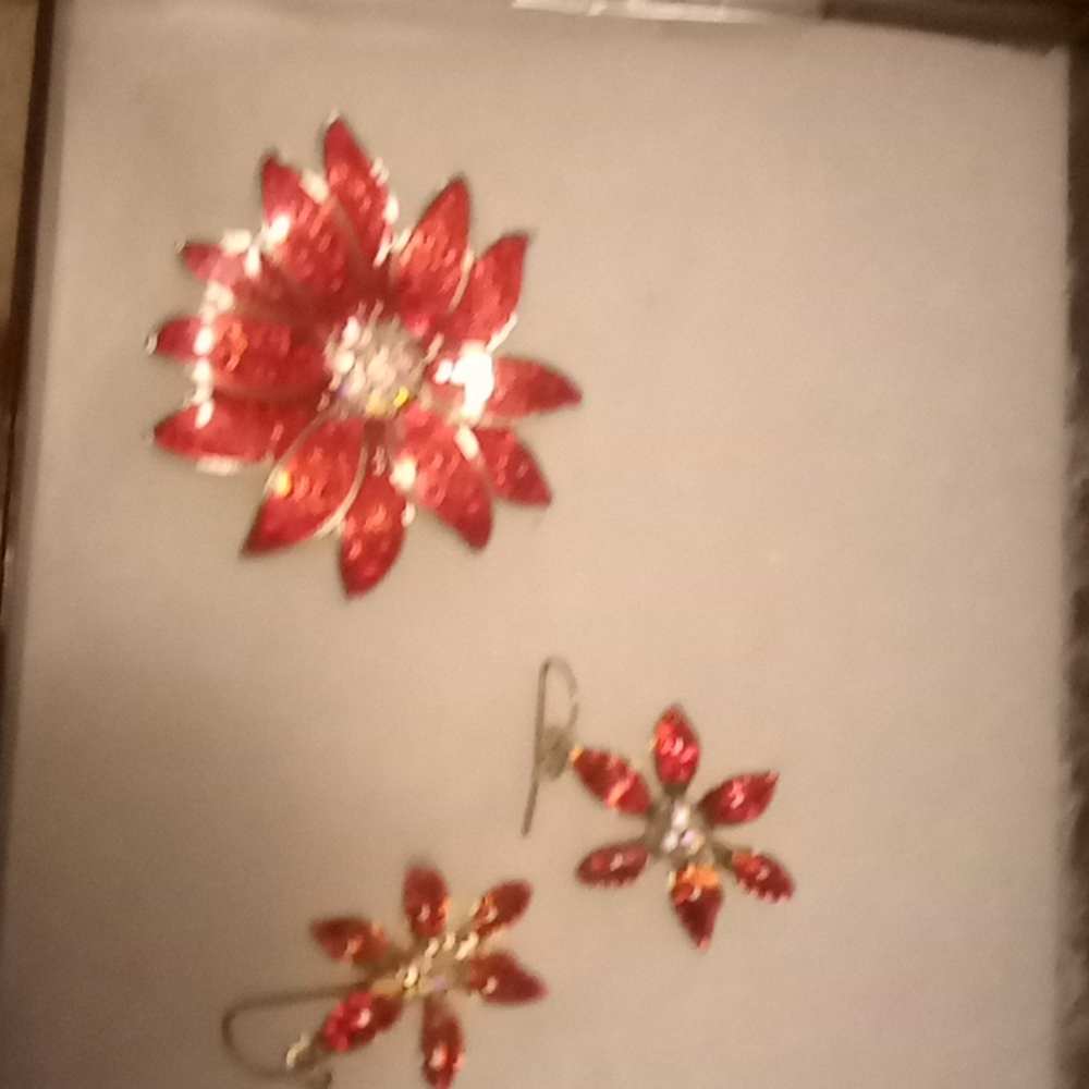 Brooch with earrings